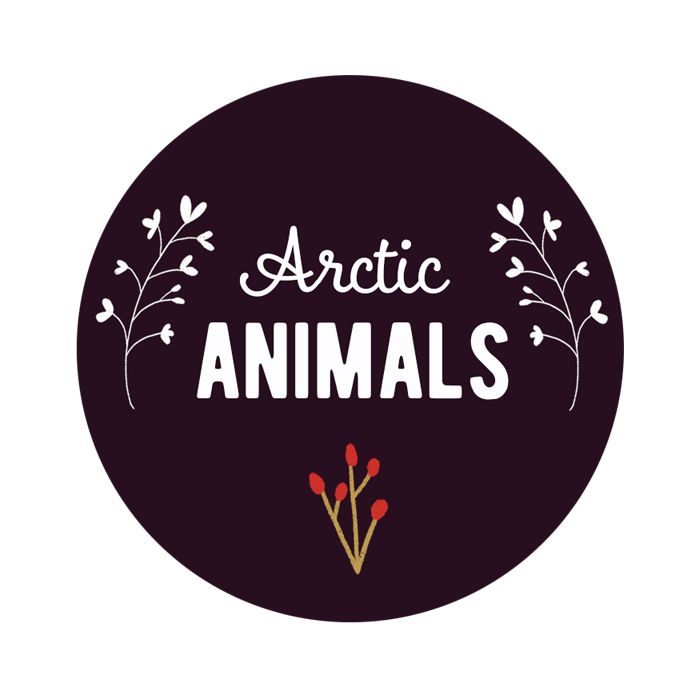 Arctic Animals Circle Logo2