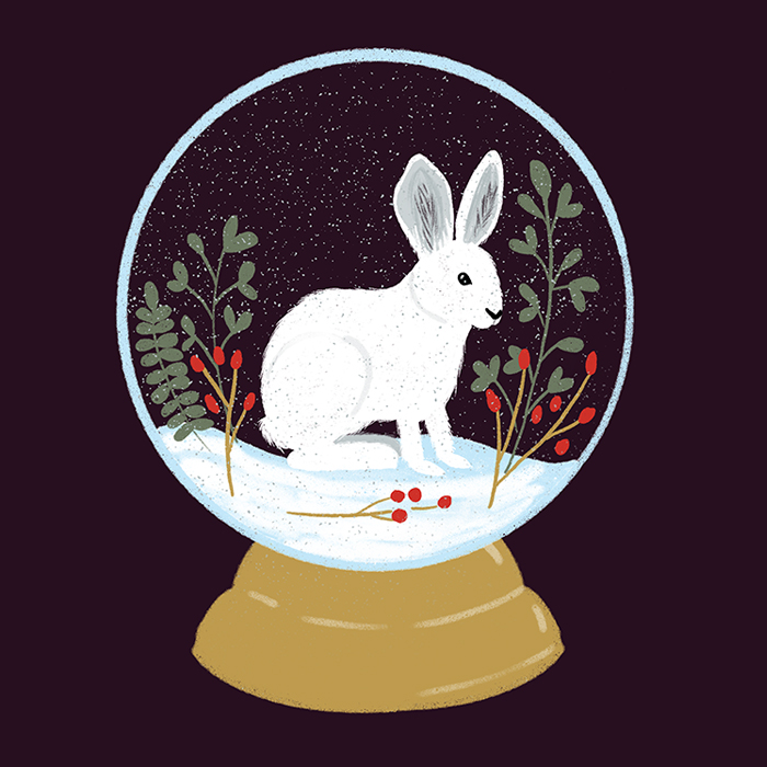 Hare in Snow Globe