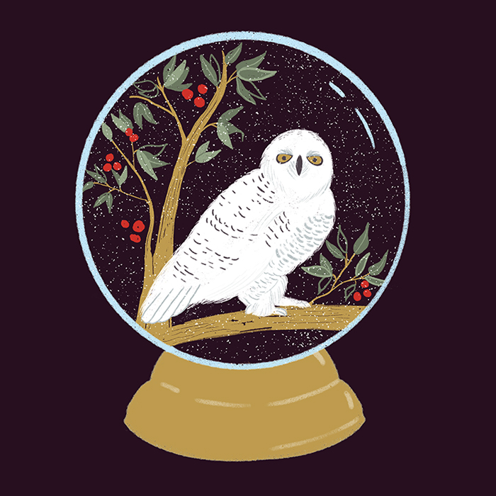 Owl in Snow Globe