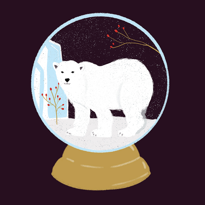 Polar Bear in Snow Globe