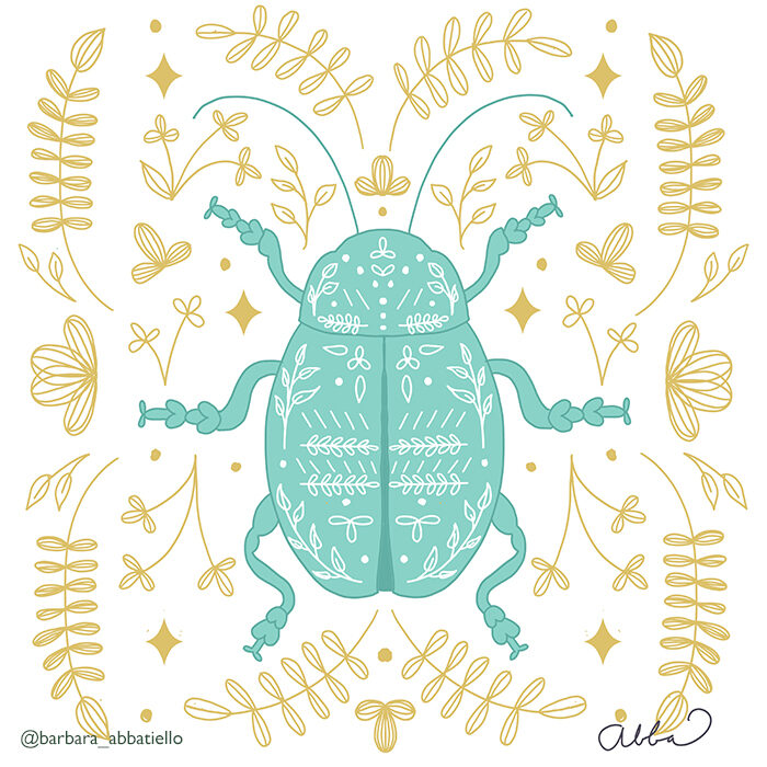 Beetle Symmetry