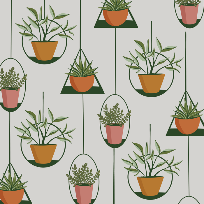 Hanging Plants on Gray