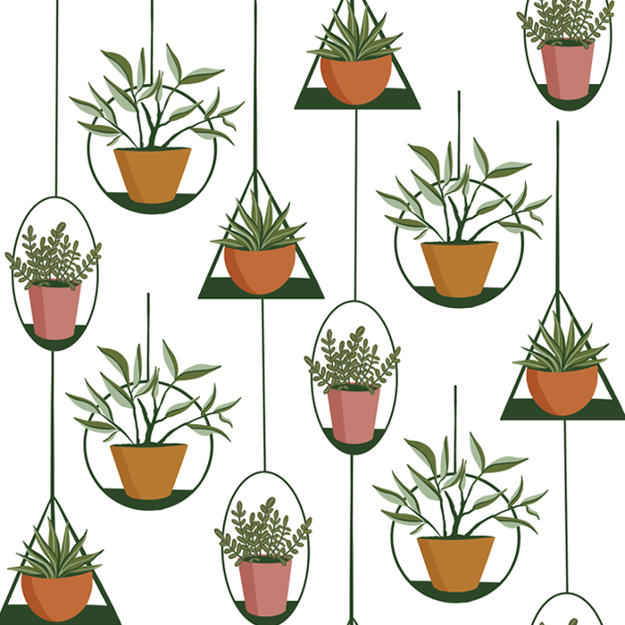 Hanging Plants onWhite