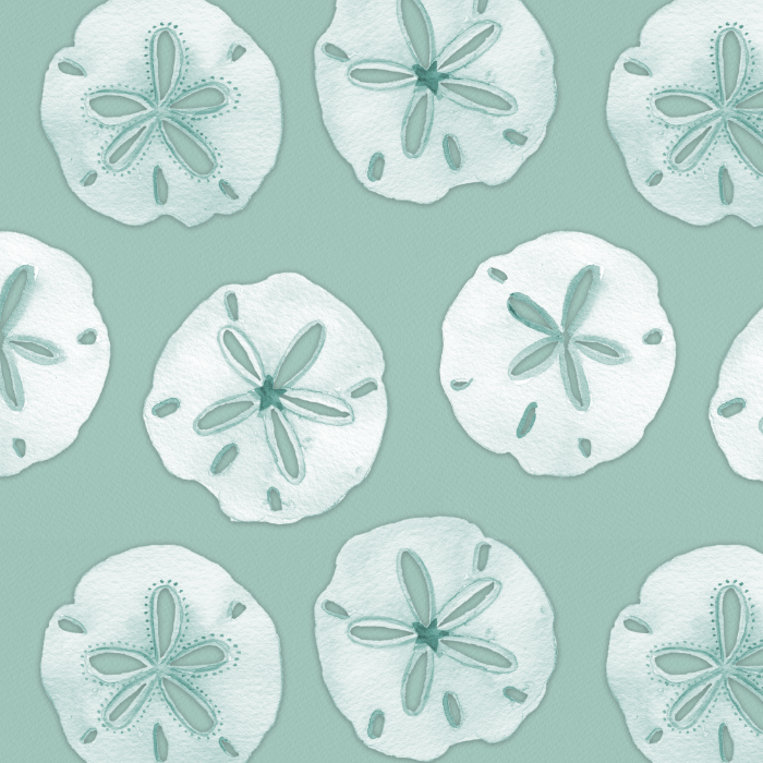 Sanddollars on Aqua