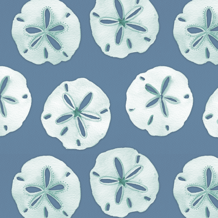 Sanddollars on Blue
