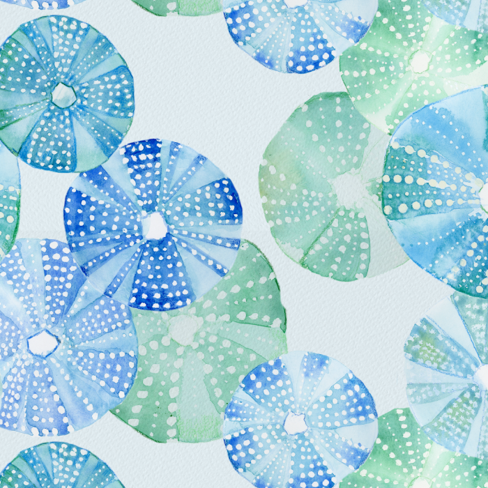 Sea Urchins in Blue and Green