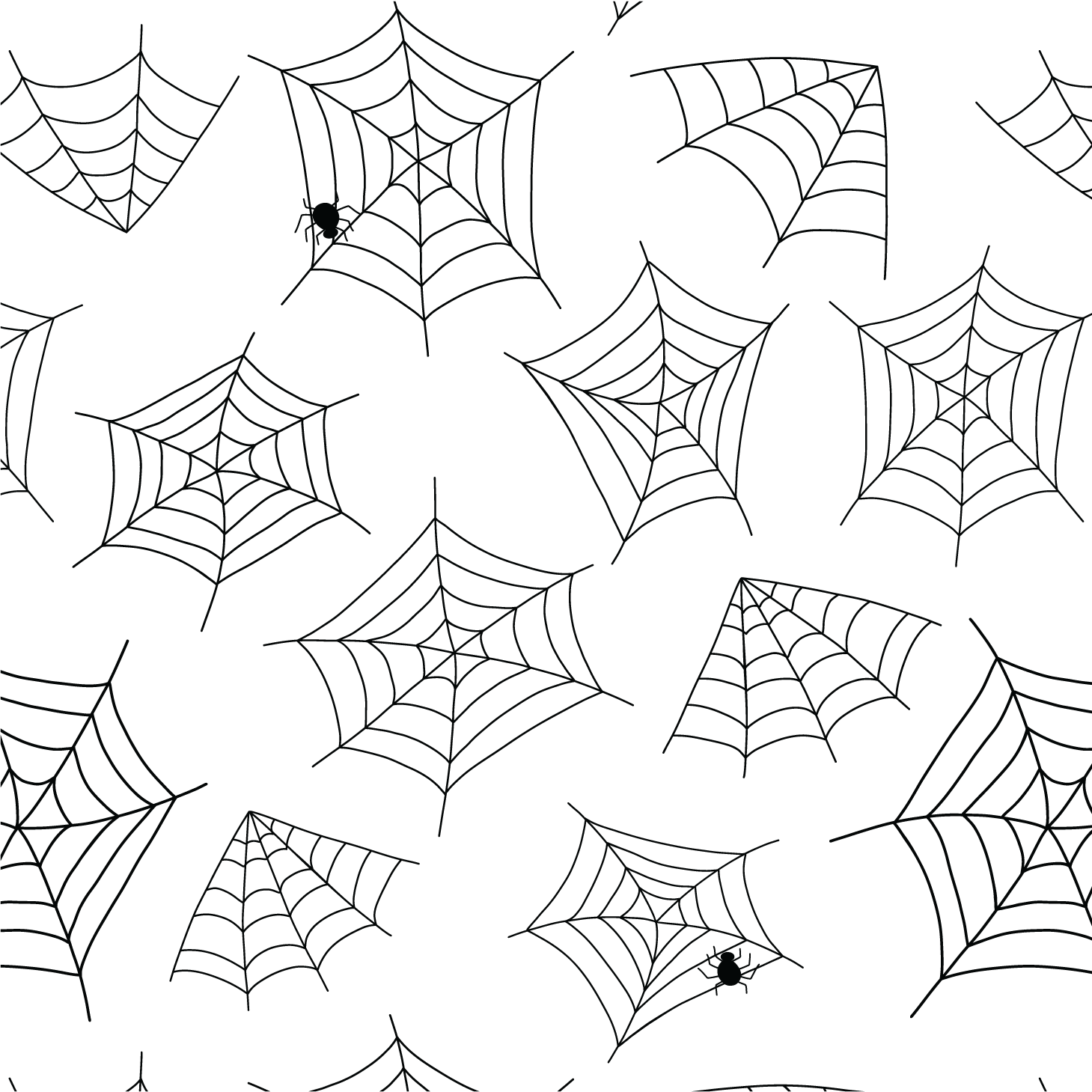 Spider Webs on White