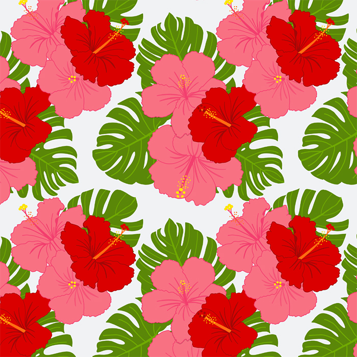 Hibiscus Flowers on White