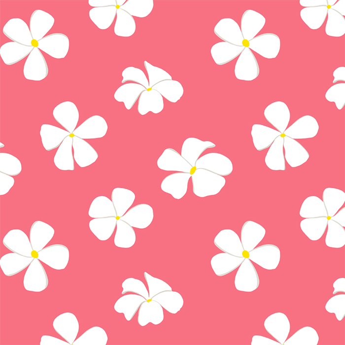Plumeria on Pink