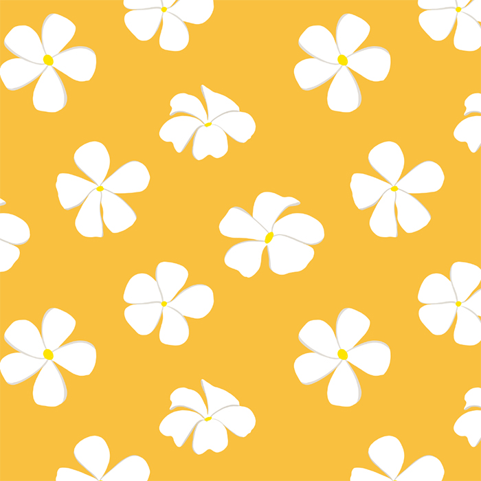 Plumeria on Yellow
